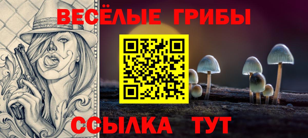 Михайловка  Галлюциногенные грибы ЛСД  Вход с VPN 