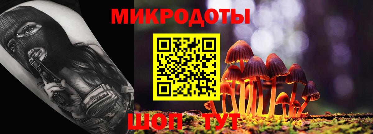 Псилоцибиновые грибы GOLDEN TEACHER Михайловка