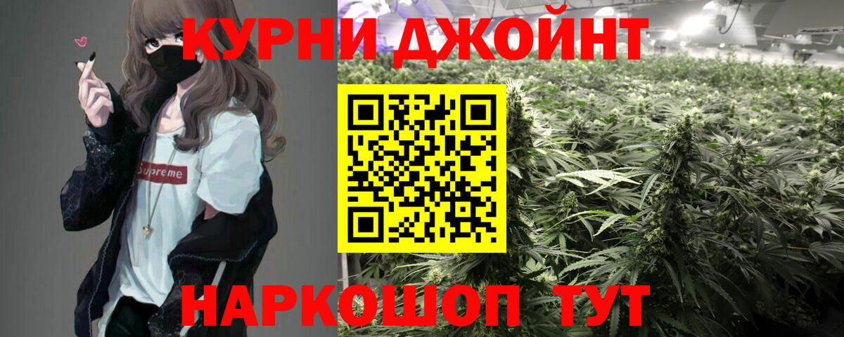 Каннабис гибрид Михайловка